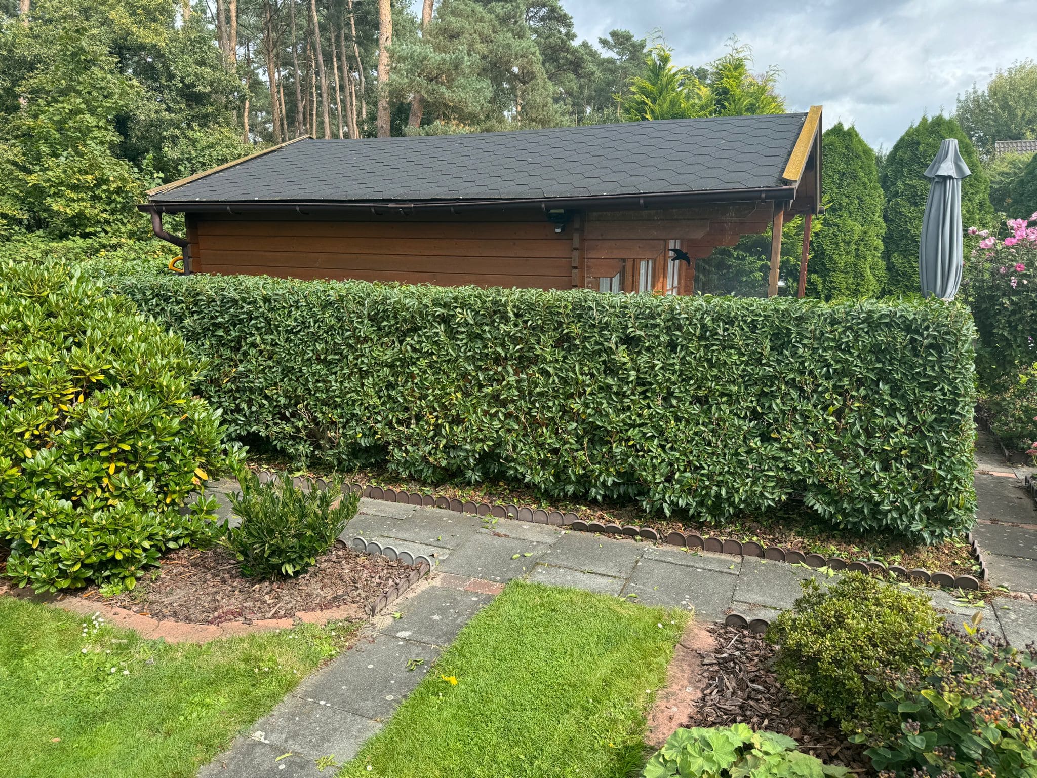 Heckenschnitt Burgdorf - Nachher: sauber geschnittene gepflegte Hecke