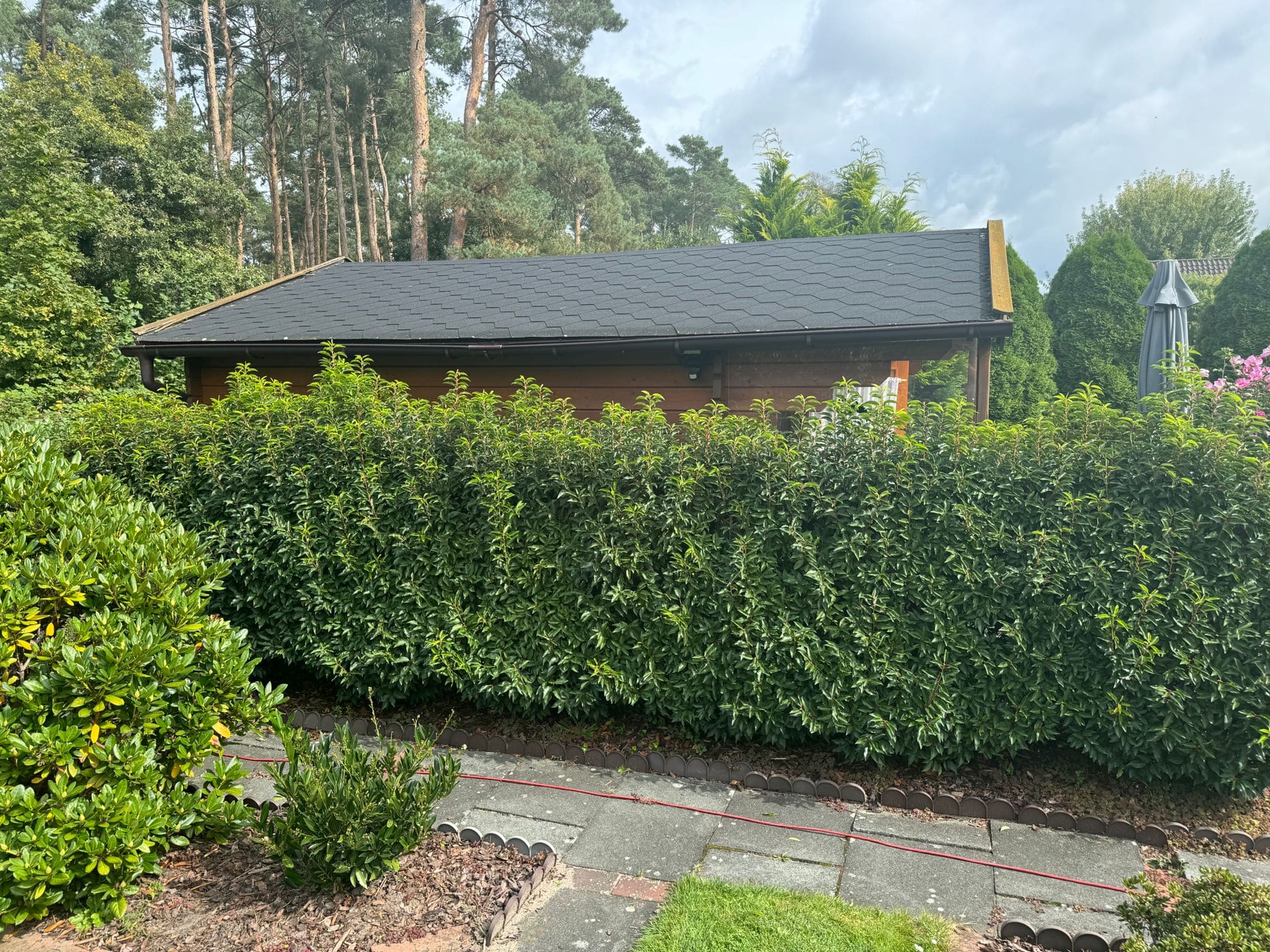 Heckenschnitt Burgdorf - Vorher: verwucherte ungleichmäßige Hecke